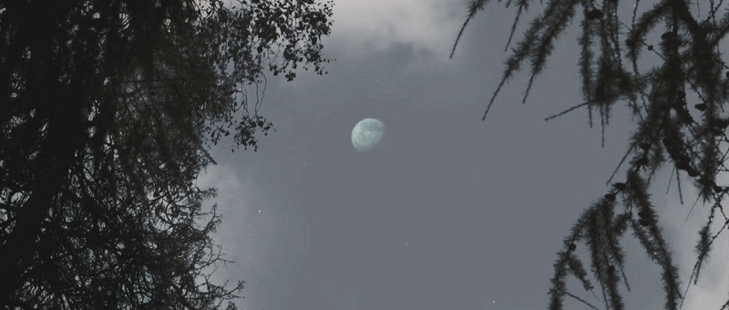 evilnol6:  .”Melancholia” written and directed by Lars von Trier