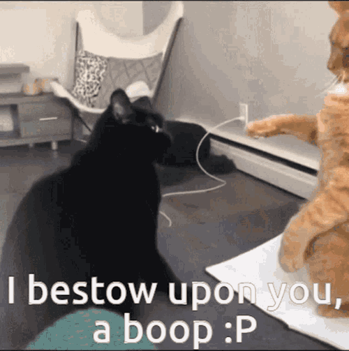 Obviously The Patron Saint Of Booping