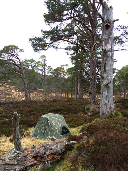 Wild camping, Derry burn, Cairngorms, Scotland