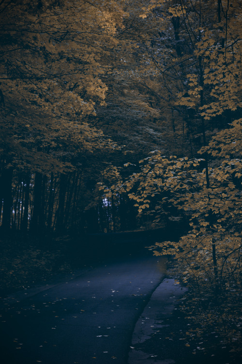 90377:   	Lonely road by IMAGE Photography