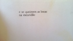  Ferreira Gullar, em Toda poesia 