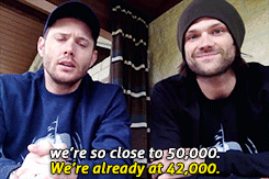 jaredandjensen: [x]