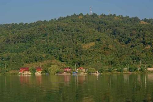 kristo-flowers:River Donau