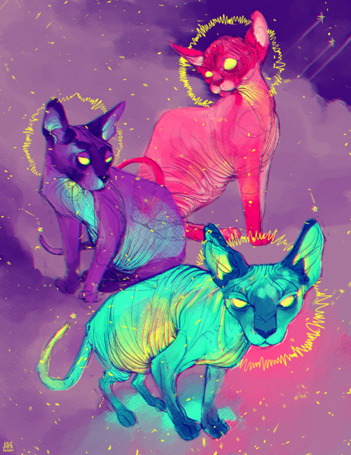 Some Of My Kitty Paintings From This Year (find My Art On Insta + Twitter + Inprnt + Twitch @jakeromanoart)watch