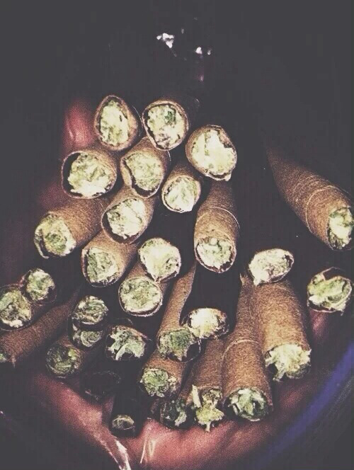 smokethesativa: FoLLoW ThE sAtIVa