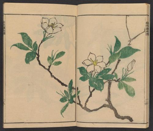 heaveninawildflower: ‘Kinpaen gafu’ by Bunpō Kawamura (Japanese, 1779-1821).  Publ