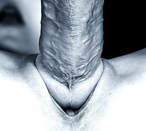 phantomshaman:  everthekinkier:  FUUCCKKKING HOTT!!!   ;)  ;)