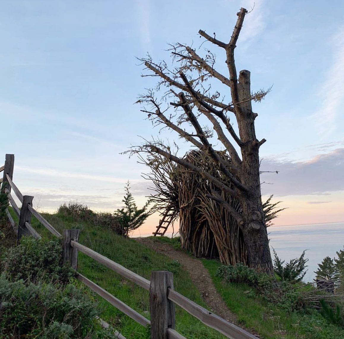 The Human Nest at @treebonesresort in Big Sur, California. Photographs by @plantallies More photos on @cabinporn.