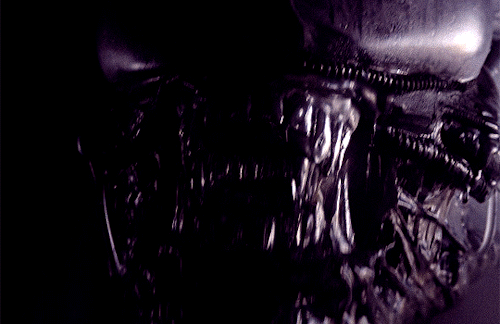 gothrey:      Final report of the commercial starship Nostromo. Third Officer reporting.
