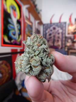 convolutedwalrusdreams:  Purple Kush 