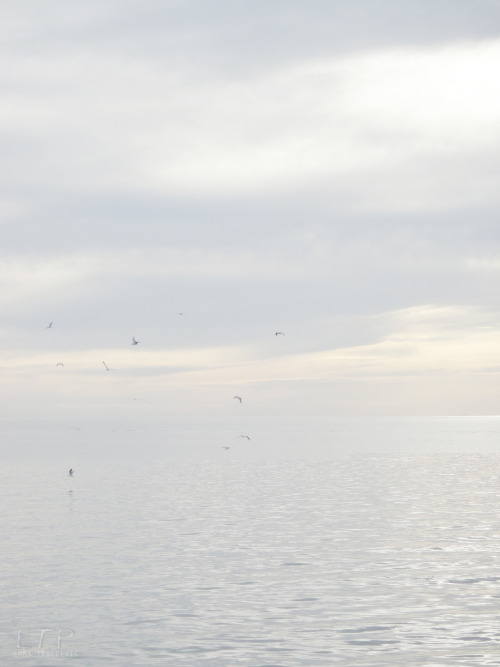 ocean-ley:/