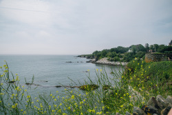 ohgoodgracious:  Cliff Walk(Newport, RI.