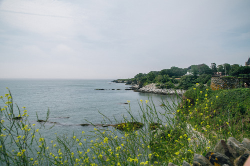 ohgoodgracious:  Cliff Walk(Newport, RI. July, 2015). 