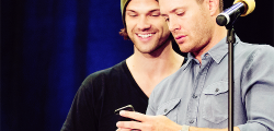 winckhester-blog:  J2 | VanCon, 2014 