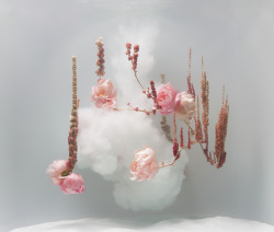 wetheurban:  Underwater Ballet, Anne Ten Donkelaar Dutch artist and product designer Anne ten Donkelaar arranges and photographs flowers underwater, thus capturing a “silent image of a spirited dance.”  In this series, titled Underwater Ballet,