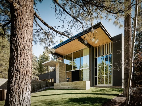 Burnt Cedar Residence by Faulkner Architects in HomeWorldDesign.com