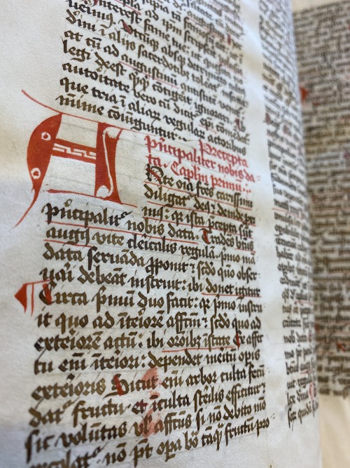 Ms. Codex 719 -Expositio super regulam beati Augustini episcopiAugustine’s rule! This manuscript exp