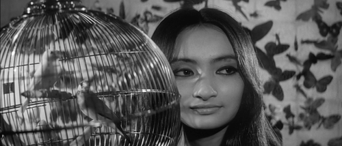 Romance in Branded to Kill (1967, Seijun Suzuki, dir.)