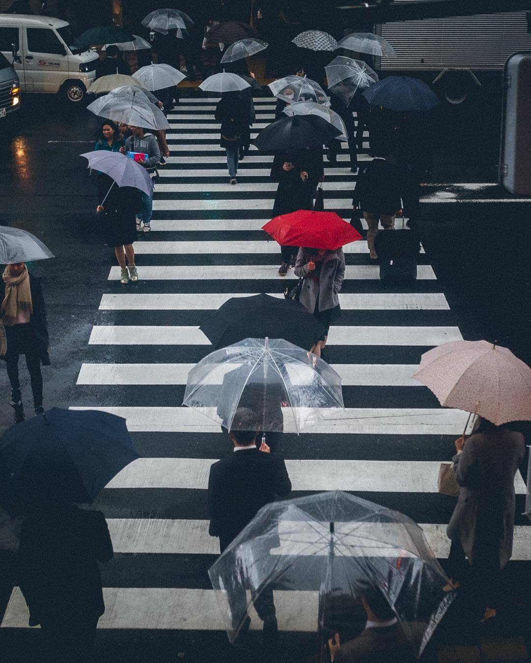 nevver:  Still falls the rain, Yoshiro Ishii 