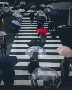nevver:  Still falls the rain, Yoshiro Ishii