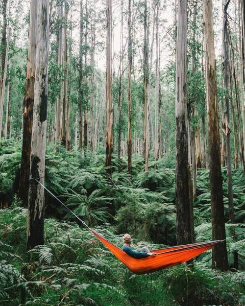 theadventurouslife4us - #camping , Chillin between giants  ...