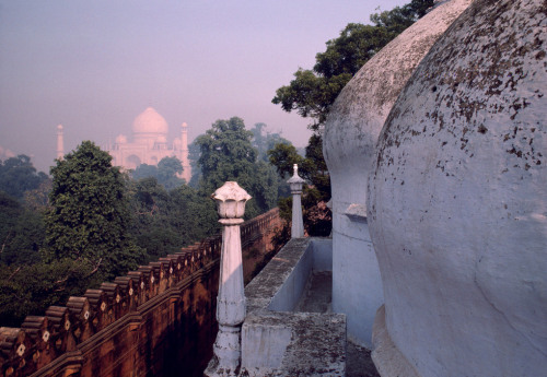 tropicale-moderne:  INDIA. Uttar Pradesh. Agra. Taj Mahal. 1985 // Raghu Rai 