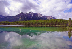 alcyere:  Lake Herbert (by Reinhard.Pantke)