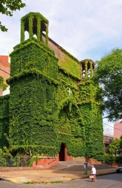 aros:  iglesia Verde, Buenos Aires, Argentina.  At this point, the ivy&rsquo;s probably structural&hellip;