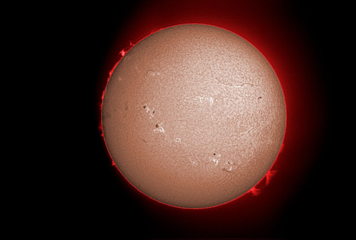 redlipstickresurrected:Peter Ward - The Sun in H-Alpha Light, 2002  Astrophotography (A Green Filter was used to attenuate the  image; H-Alpha is Hydrogen Alpha Telescopes/Filters)