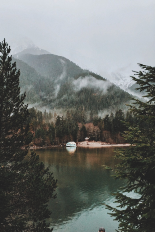 heidigrainger: eartheld:mostly nature + nature