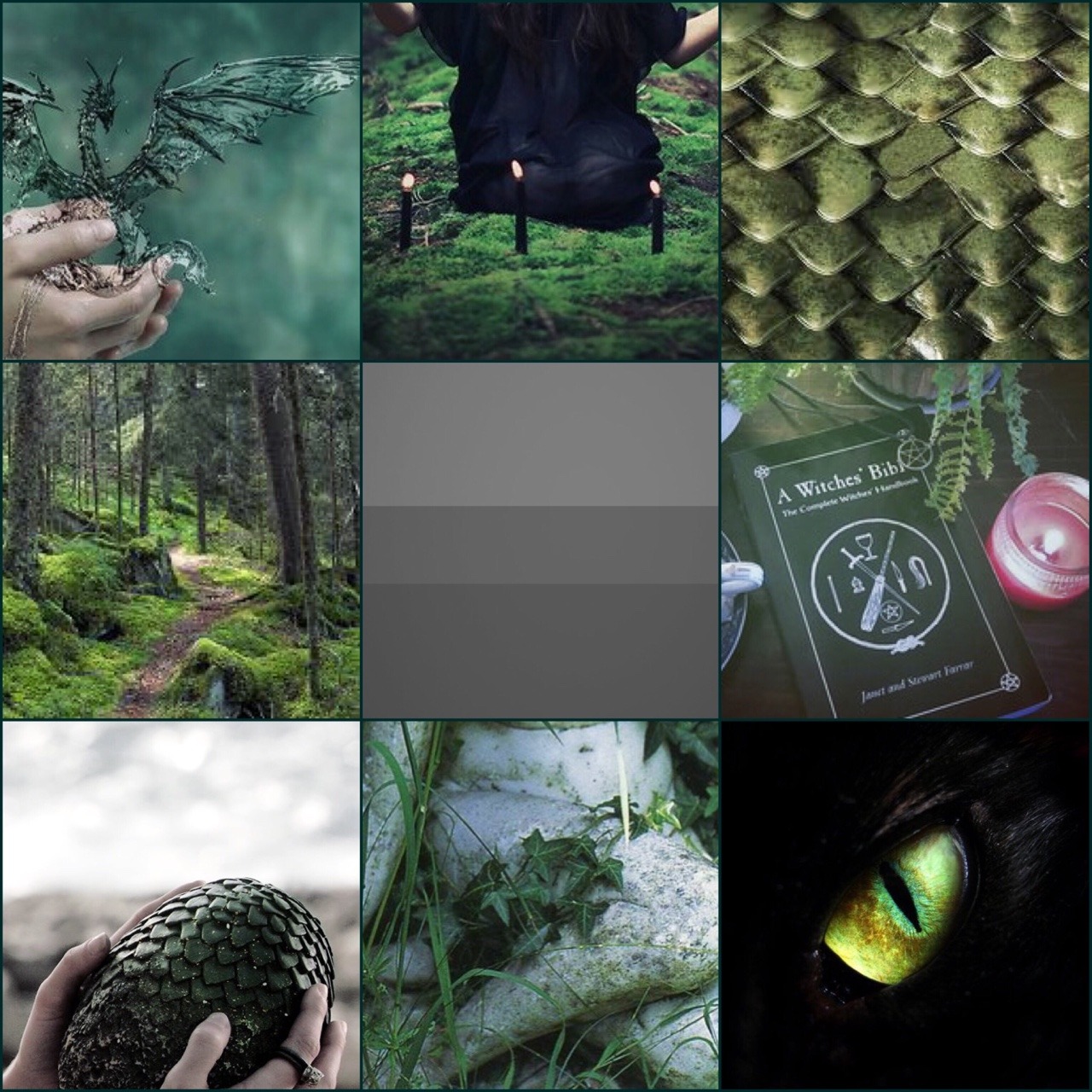 Vanding Observation solsikke LGBT Aesthetics And Moodboards — — Bisexual moodboard with themes of nature ,...