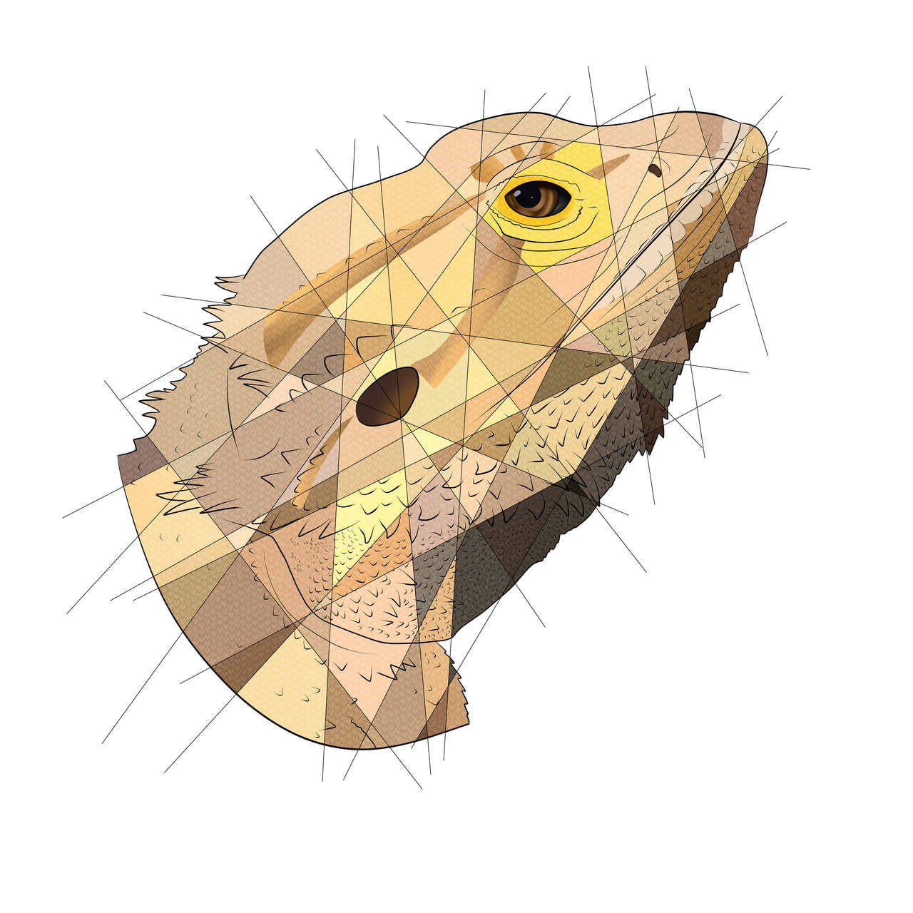 thelizart:  Hey guys so as most of you know I’m doing geometric style commissions