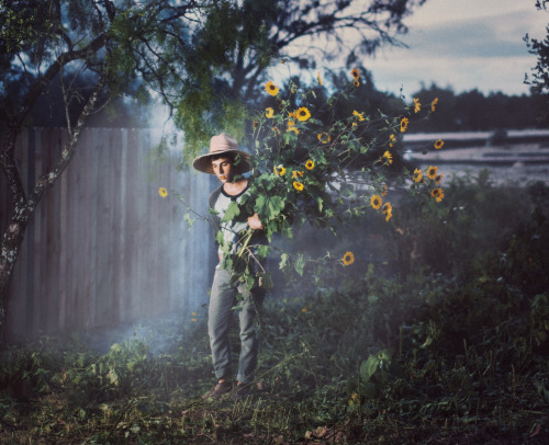 nicholasmax:  “The Worker”  I re-worked the edit of this. Facebook Website Vimeo  
