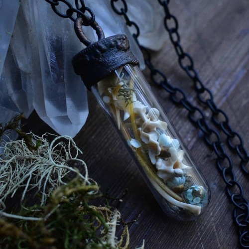 Bearded dragon bone curiosity vial pendant available now at www.DarlingDeadAdornment.com www