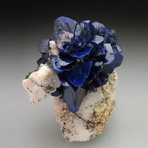 gorgeousgeology:This particular azurite resembles an abstract blue rose in bloom.Blue Rose! I have b