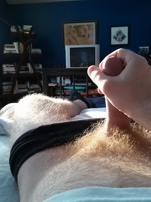 jmbear70:  In the morning light #ginger #morning #cock #penis #wood 
