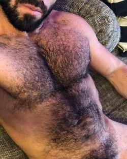 cuddlyuk-gay:  I generally reblog pics of guys with varying degrees of hair, if you want to check out some of the others, go to: http://cuddlyuk-gay.tumblr.com   