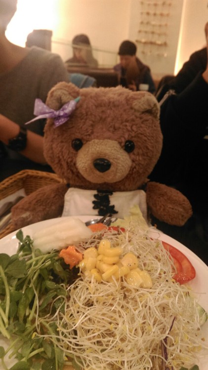 taiwan teddy eating veggie