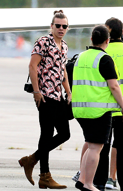 harrystylesdaily: Arriving in Brisbane - 2/11/2015 