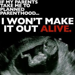 mastermindemily:  ourgoatrodeo:  persephoneholly:  personhoodusa:  Over 300,000 children are murdered inside Planned Parenthood clinics every year. http://ift.tt/ITL4iD  BULL FUCKING SHIT. My mother was three months pregnant with me when she waltzed into