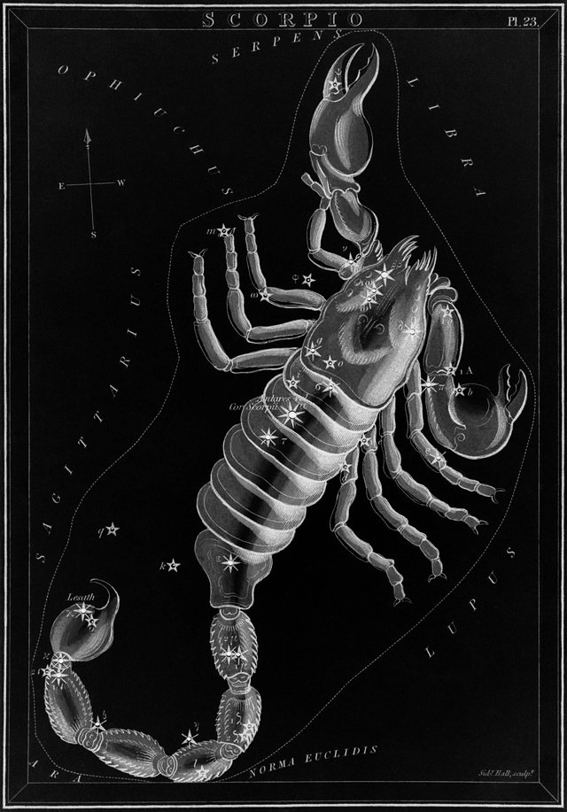 chaosophia218:   Sidney Hall - Signs of the Zodiac, “Urania’s Mirror”, 1824.