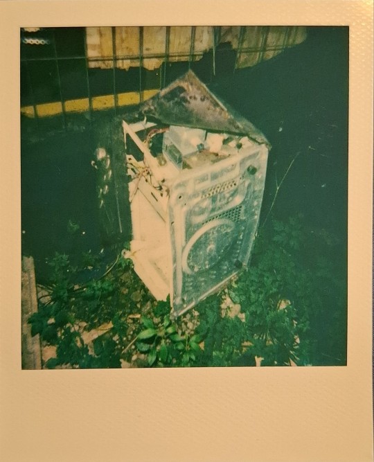Tumblr media