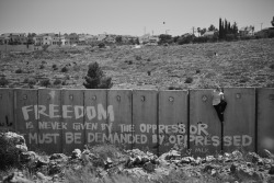 zwei-perspektiven:  A palestinan protester climbs the west bank barrier on Friday (16.08.13) in the village of Nilin, close to Ramallah, Palestine. On the wall is a graffiti saying: “Freedom is never given by the oppressor - It must be demanded by the