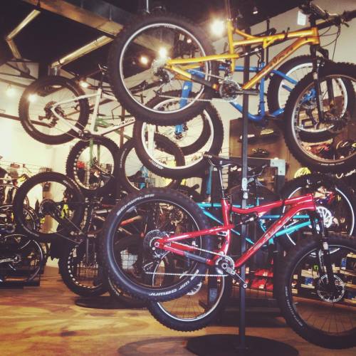 codysovis:  @salsacycles Bucksaw Tree! The fruit hangs low at @einsteincycles #ecdoesit (at Einstein