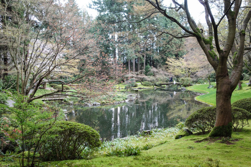 Nitobe Memorial Garden, VancouverMarch, 2015