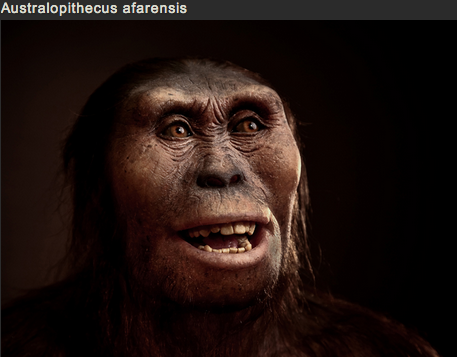 sixpenceee:  SCULPTING HUMAN EVOLUTION  Paleoartist Elisabeth Daynès is reconstructing human evolution through her sculptures. The sculptures above are in no particular order.  You can view more pictures and get more information here