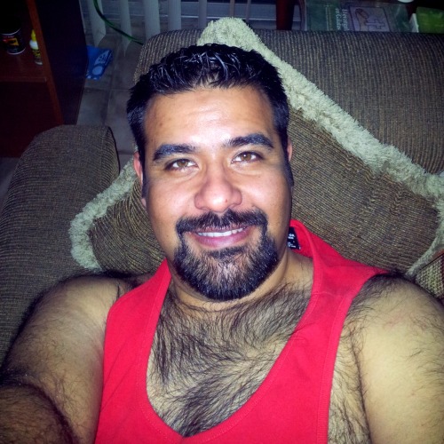 eadoming:  Oso Mexicano
