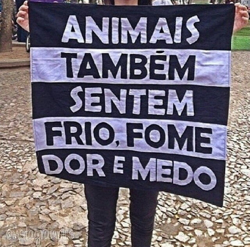 Comedora de paçoca