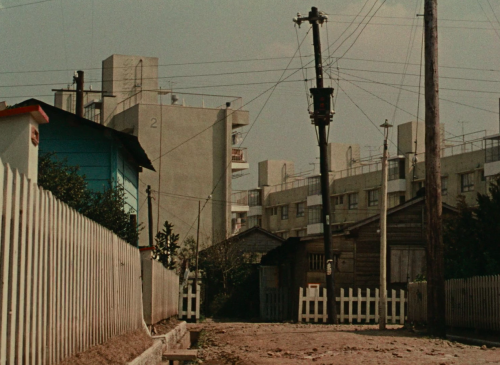 criterioncloset:Good Morning (1959) - dir. Yasujirō Ozu