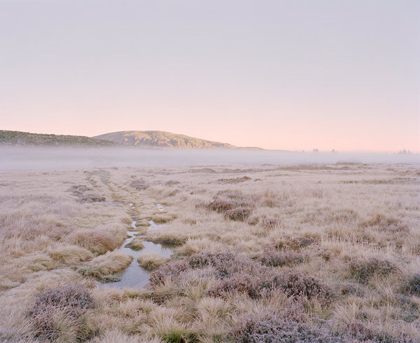 untrustyou:  Vasantha Yogananthan 